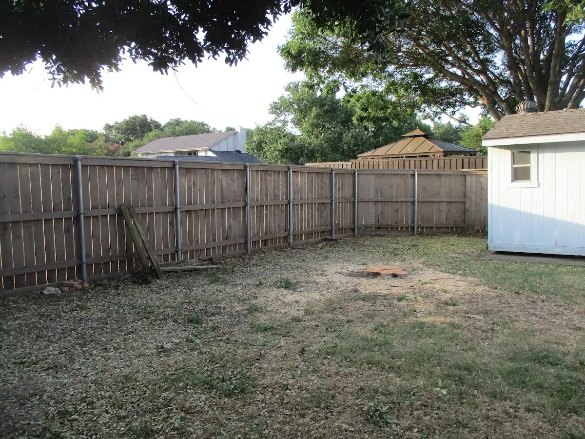 Cleared yard after professional tree removal in Alvarado